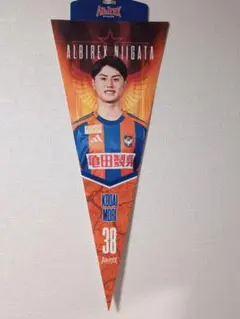 アルビレックス新潟 森昂大選手フェルトペナント
