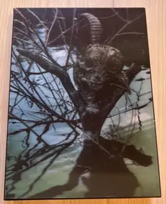 the GazettE LIVE TOUR13-14[MAGNIFICENT MALFORMED BOX]FINAL CODA LIVE AT 01.11 YOKOHAMA ARENA(初回生産限定盤 [DVD] Amazon.co.jp: the GazettE LIVE TOUR13-14[MAGNIFICENT