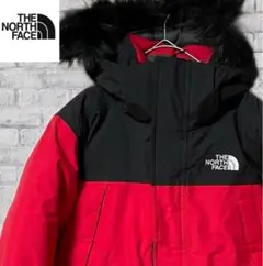 【日本未入荷✨】THENORTHFACE ダウンジャケット DRYVENT L