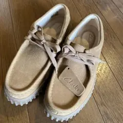 Item thumbnail for item 43ad41c4-8d19-4da4-a64c-b37e9bd15e20