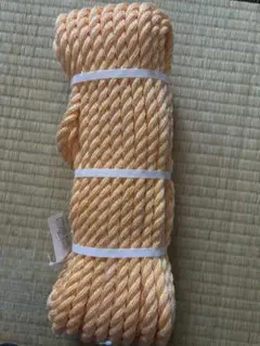 Item thumbnail for item 36b994f8-0464-4ce2-b110-383e53c9821a