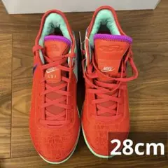 【新品未使用】Nike ナイキズームレブロンNXXT GEN EP 28cm