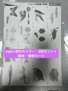 2025年最新】サピックス 理科 植物カードの人気アイテム - メルカリ