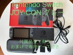 Nintendo Switch グレー 付属品全てあり ケースおまけ