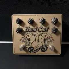 2025年最新】BAD CAT SIAMESE DRIVEの人気アイテム - メルカリ