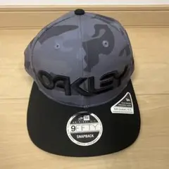 Item thumbnail for item a5f474ad-4ee0-41e8-adcb-49828bc69cdc