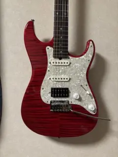 2025年最新】t's guitars dstの人気アイテム - メルカリ