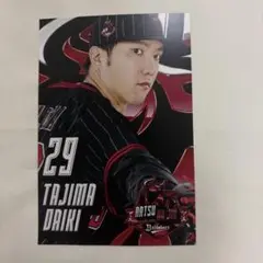 オリックス　田嶋大樹　夏の陣　ポストカード