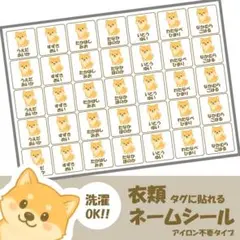 ノンアイロンネームシール】秋田犬　70枚入り