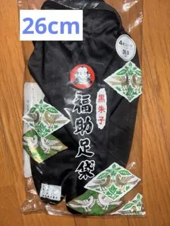 Item thumbnail for item 40658d5f-098a-48f8-8efc-37c894f80eaf