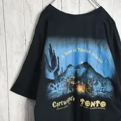【入手困難】00s古着 Hanes native Arizona Tシャツ　#9