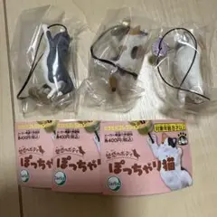 魅惑のボディ　ぽっちゃり猫　ガチャ　チャシロ　グレーシロ　ミケ