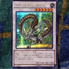 遊戯王　ナチュルパルキオン　DTC シークレット ナチュル・パルキオン【遊戯王トレカお買得価格通販：トレコロ】