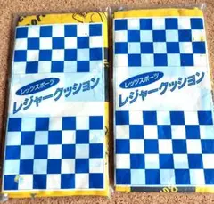 レジャークッション　2枚セット