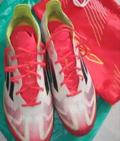 F50 　25.5cm　FG