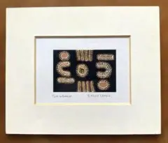 アボリジナルアート　EMILY LANKIN アボリジニアート