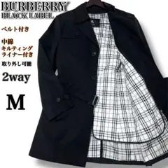 Item thumbnail for item 4200295b-57d2-4f65-b14a-bb2bbc845f12