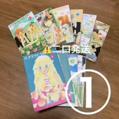 ※二口発送①ハチミツとクローバー全巻内5冊