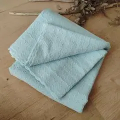 【最終サマーセール♪】ダブルガーゼ ＊コットン刺繍レース生地 ＊ スカラップ
