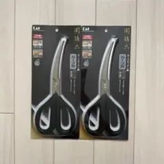 Item thumbnail for item 1ff1fc79-60b3-445c-a2d0-a978fbc37b03