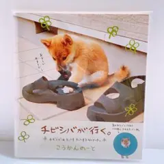 平成レトロ　サンエックス　チビシバが行く　交換ノート