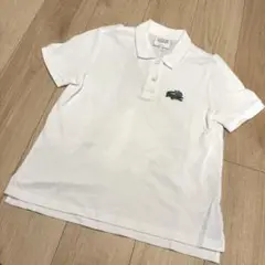 【LACOSTE】ポロシャツ 34 ホワイト レディース
