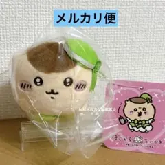Item thumbnail for item dd82bac3-02d7-43e2-ae7c-5807b8ebf6f0