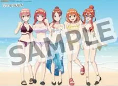 B2タペストリー　五等分の花嫁∽　ゲーマーズ 購入特典　gamers