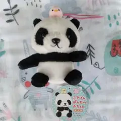 Item thumbnail for item 525f59b7-750f-4aa4-91ce-e554313079ed