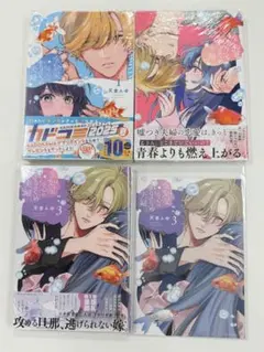 新品「金魚屋さんのかりそめ夫婦 1～3巻」3巻、メロンブックス特典付き
