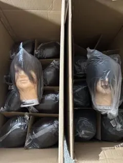 Item thumbnail for item 93fc6745-4284-4f14-9503-743d4238ad60