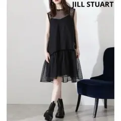 JILL STUART ジルスチュアート　アグネスドット　ワンピース　シースルー