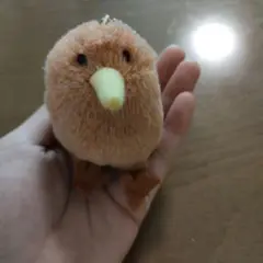 まるまるキウイ　キーウィ　キゥイ　マスコット　キーホルダー