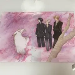 夏目友人帳 原画展限定 クリアファイル 10周年