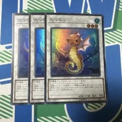たつのこ スーパー 3枚