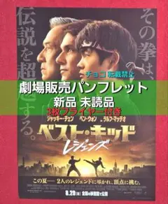 ○Y　ベスト・キッド レジェンズ パンフレット ジャッキー・チェン　チラシN8