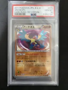 【希少】アーケオス　ur m30399529351_1.jpg?1719985012