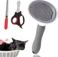 Item thumbnail for item 50253009-8917-4d8a-99f4-8b5369d74c33