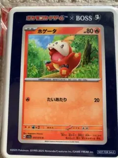 Item thumbnail for item 3be8a637-1410-4242-b155-137a8ad4d56b