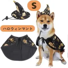Item thumbnail for item 4a7e0f7a-6568-4476-9801-637870c62002