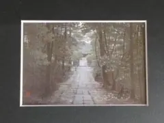 澁澤卿、【珠楼綵雲】、希少な額装用画集より、新品額装付、状態良好 大野俶嵩、【燦華】、希少な額装用画集より、状態良好、新品額装