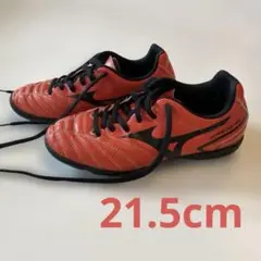 トレーニングシューズ　モナルシーダ ネオMizuno 21.5センチ