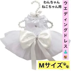 Item thumbnail for item 17369161-1190-415d-9a0b-7be31ef11407