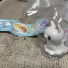 液体になりつつある猫　縁側