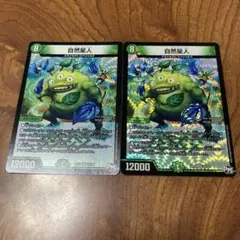 自然星人　2枚セット