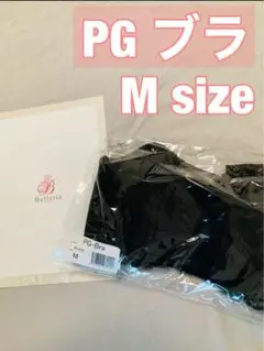 PGブラ 益若つばさ ナイトブラ