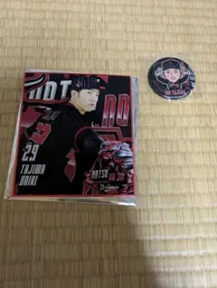 田嶋大樹　ミニ色紙　缶バッジセット