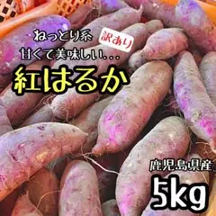 2022年新物◎鹿児島産 訳あり 紅はるか 5キロ さつまいも 5kg
