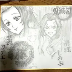 鬼滅の刃　胡蝶しのぶ　胡蝶カナエ　手描きイラスト