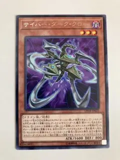 サイバーダーククロー